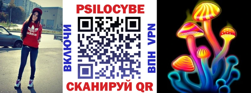 Купить где  Асино  Галлюциногенные грибы Psilocybine cubensis 